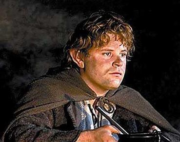 i am Samwise Gamgee.  What LotR character are you like?